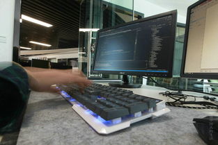 大數(shù)據(jù)的弄潮兒 計(jì)算機(jī)軟件開(kāi)發(fā)的變革與機(jī)遇